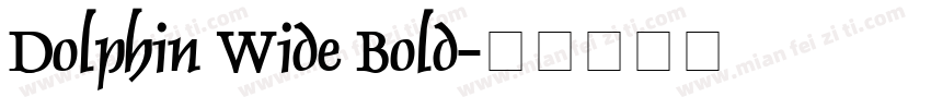 Dolphin Wide Bold字体转换
